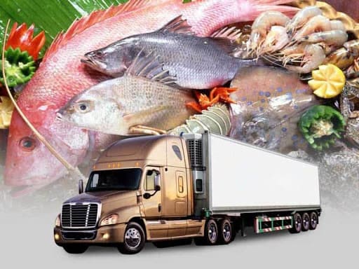 Gửi hàng đông lạnh đi tp.HCM Gửi hàng đông lạnh đi tp.HCM